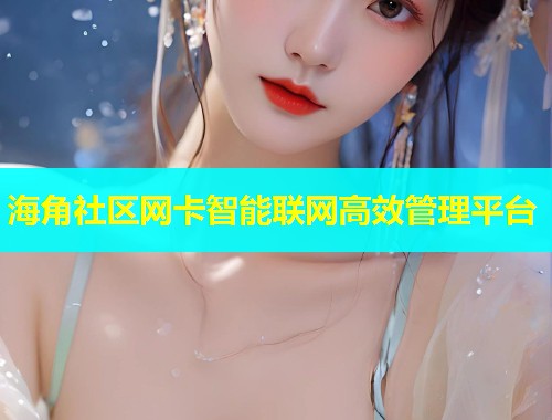 海角社区网卡智能联网高效管理平台  第1张